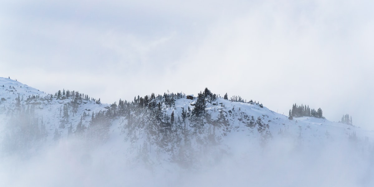Заснеженный зимний пейзаж Канады